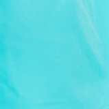 Southern Shirt Hybrid Performance Skort - Maliblue